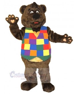 Bear mascot costume