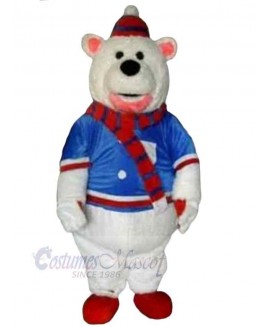 Bear mascot costume