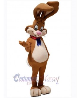 Easter Bunny Rabbit mascot costume