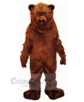 Bear mascot costume