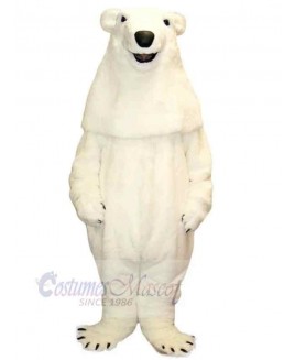 Bear mascot costume