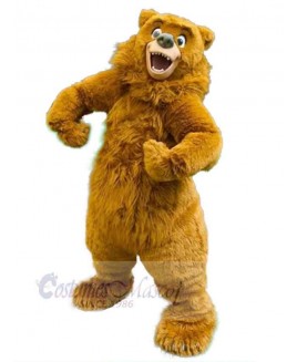 Bear mascot costume