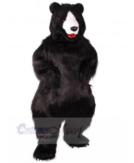 Bear mascot costume