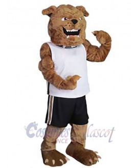 Dog mascot costume