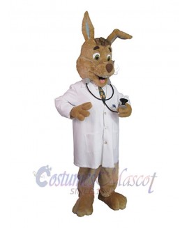 Easter Bunny Rabbit mascot costume