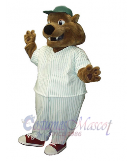 Cat mascot costume
