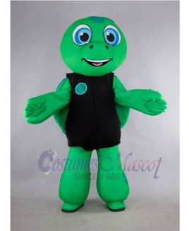 Turtle mascot costume