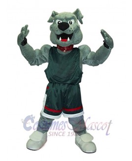 Dog mascot costume