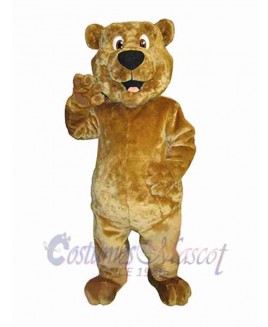 Bear mascot costume