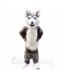 Gray Husky Dog Mascot Costumes Cartoon