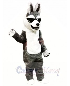 Cool Husky Dog Mascot Costumes Animal	