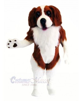 Spaniel Dog Mascot Costumes Cartoon