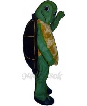 Toby Turtle Mascot Costume