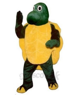 Slow Turtle Mascot Costume