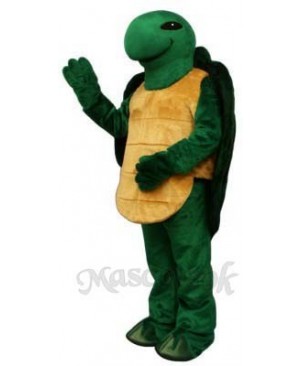 Pond Turtle Mascot Costume