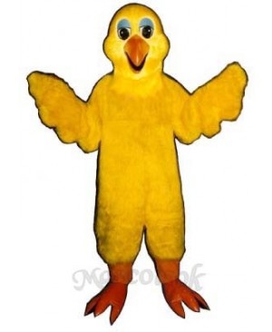 Cute Bird Feathers Mascot Costume