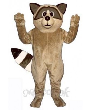 Cute Raccoon Mascot Costume