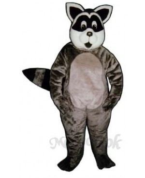 Sunny Raccoon Mascot Costume