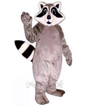 Little Raccoon Mascot Costume