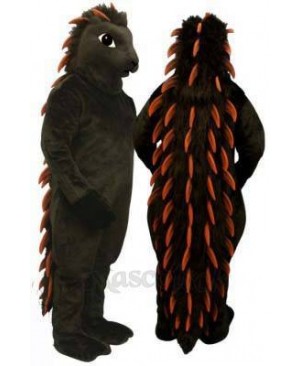 Porcupine Mascot Costume