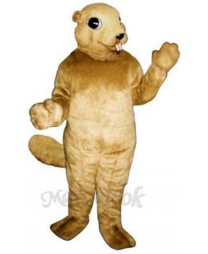 Squirrel with Teeth Mascot Costume