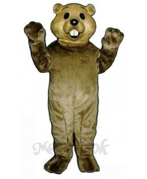 Cute Groundhog Mascot Costume