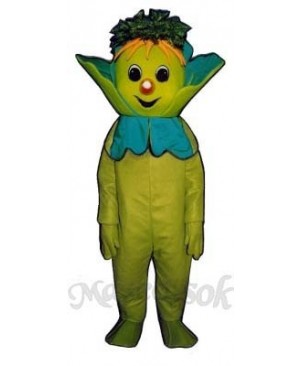 Lenny Lettuce Mascot Costume