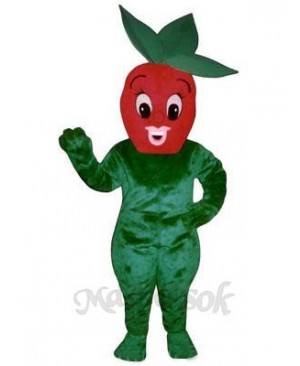 Sherry Strawberry Mascot Costume