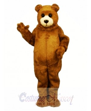 Baby Bruin Bear Mascot Costume