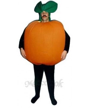 Orange Mascot Costume