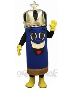Torah Mascot Costume
