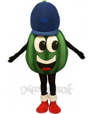 Madcap Watermelon Mascot Costume