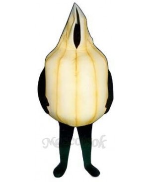 Onion Mascot Costume