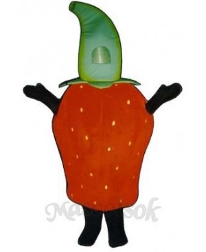 Strawberry Mascot Costume