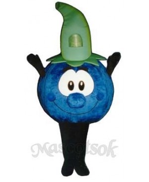 Bobby Blueberry Mascot Costume