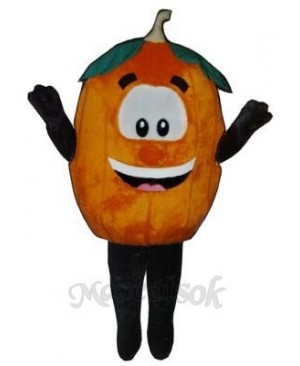 Pumpkin Mascot Costume