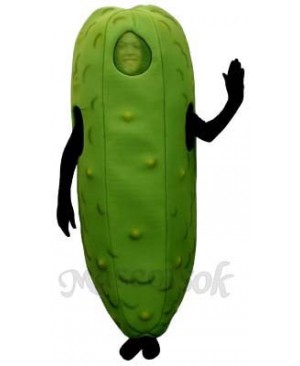 Dill Pickle Mascot Costume