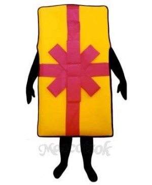 Big Gift Mascot Costume