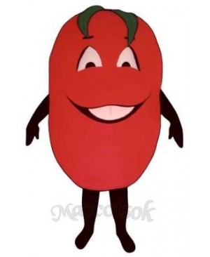 Big Tomato Mascot Costume