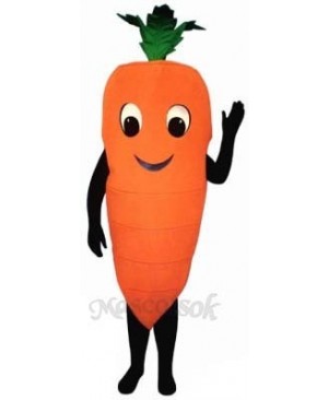 Carrot Mascot Costume