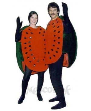 Watermelon Half Mascot Costume