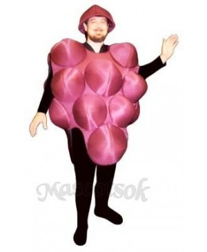 Grapes Mascot Costume