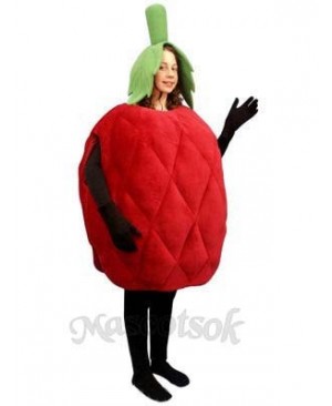 Raspberry Mascot Costume