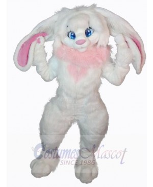 Easter Bunny Rabbit mascot costume