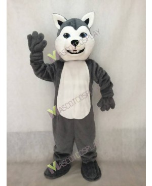 Gray Husky Dog Mascot Costume