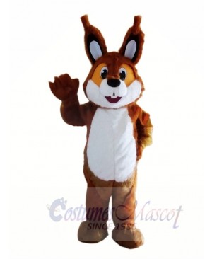 Brown Lightweight Squirrel Mascot Costumes 