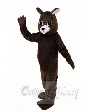 Brown Squirrel Mascot Costumes 