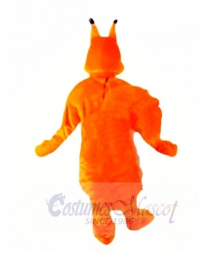 Top Quality Lightweight Squirrel Mascot Costumes 