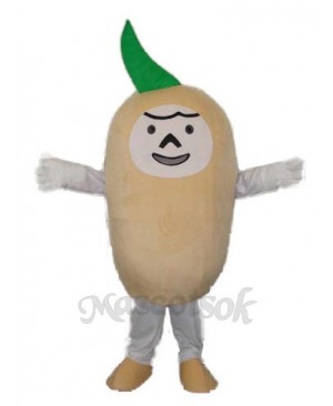 Potato Mascot Adult Costume