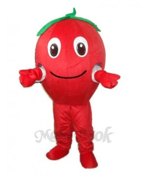 Red Apple Mascot Adult Costume